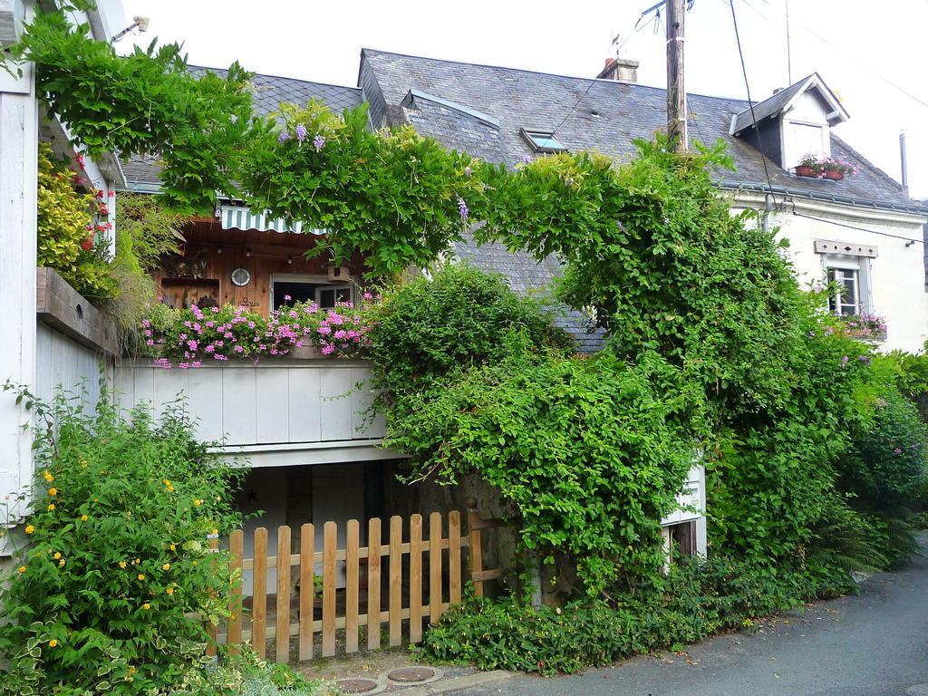 Escale De Loire Bed & Breakfast Chouzé-sur-Loire Exterior foto